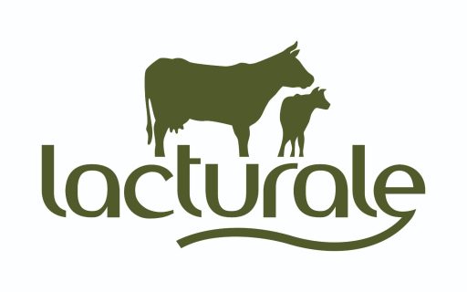 Lacturale